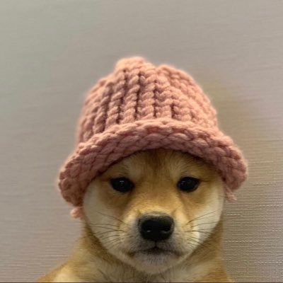 Dogwifhat Dogwifhat